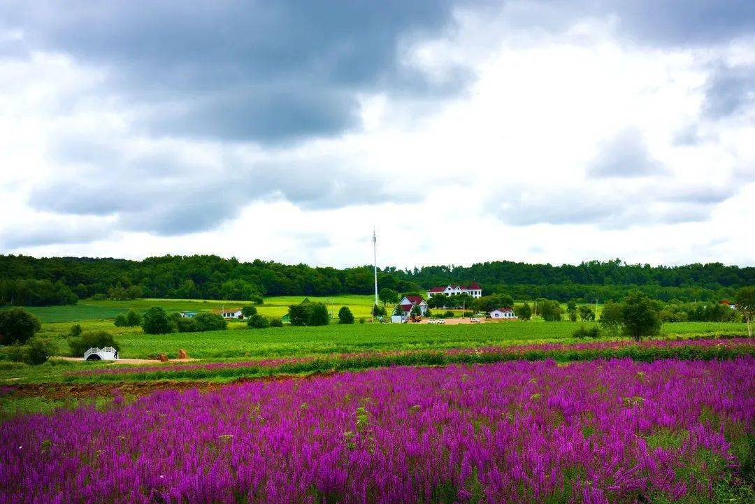 休闲农业和乡村旅游精品景点线路推介⑨ 景·秀龙江 醉·美铁力Kaiyun 开云(图2)