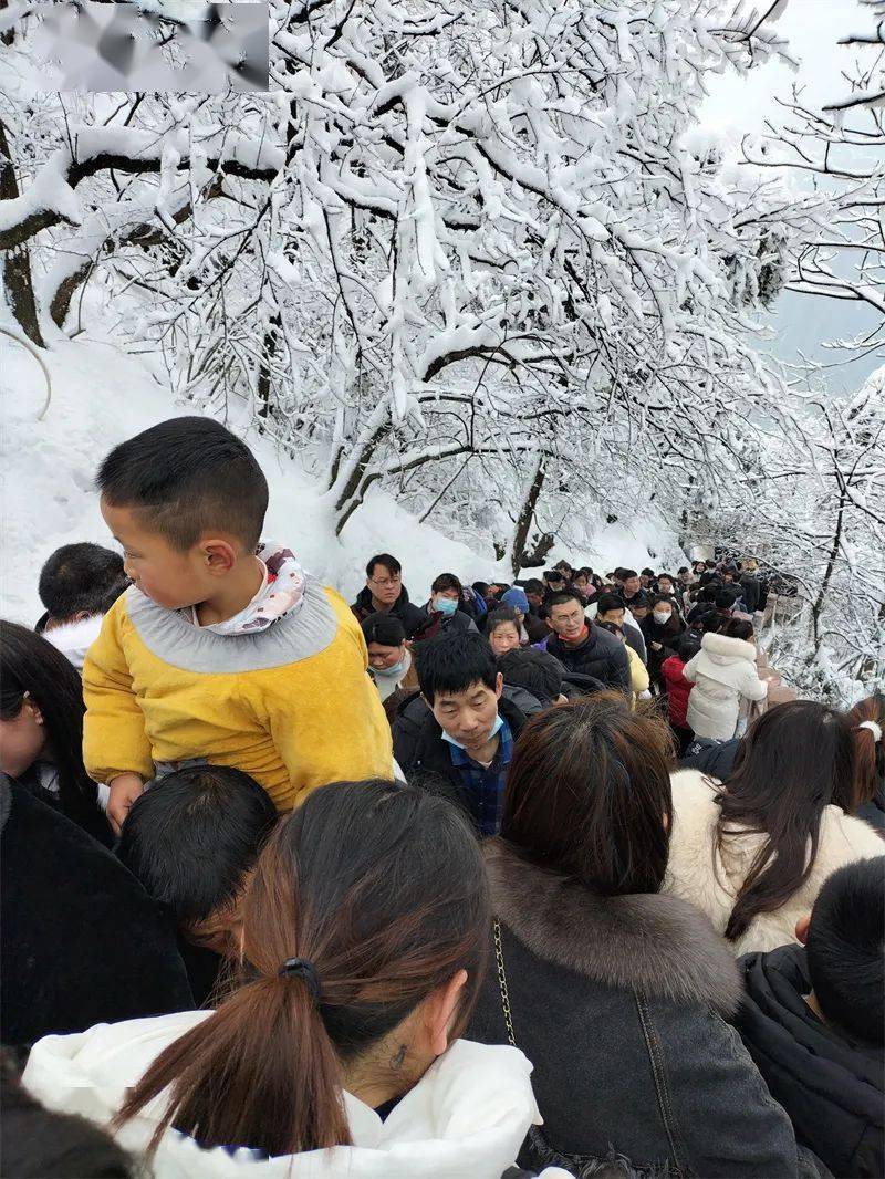 亚新体育旅游热_摄影_游客_旅行(图13)