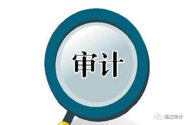 《领导干部自然资源资产离任审计规定（试行）》