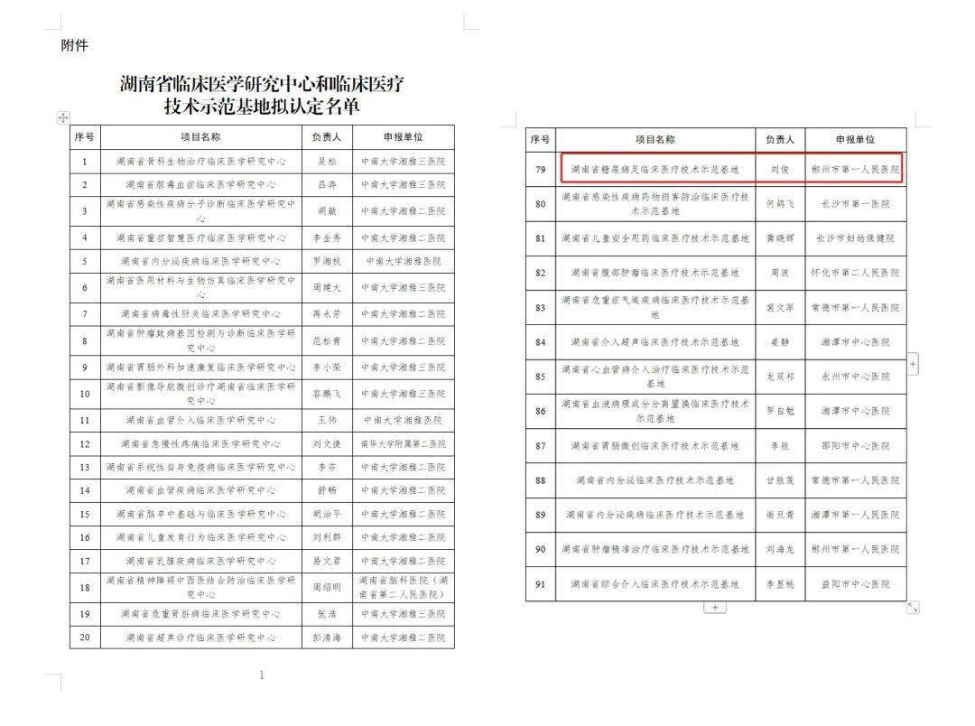 AG真人 AG真人的网站艾力彼GAHA会员动态 郴州市第一人民医院获批湖南省糖尿病足临床医疗技术示范基地(图4)