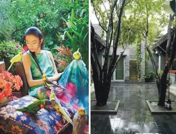 杨丽萍的宅子，冯唐的院子（这才是日子）