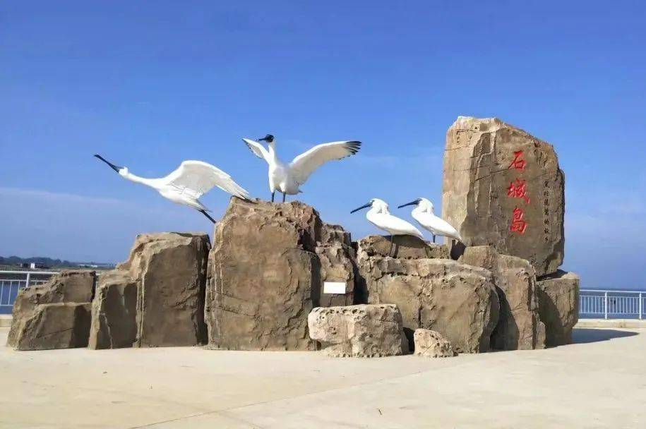 开云APP 开云官网入口推荐！6条庄河“高颜值”休闲农业和乡村旅游精品线路(图8)