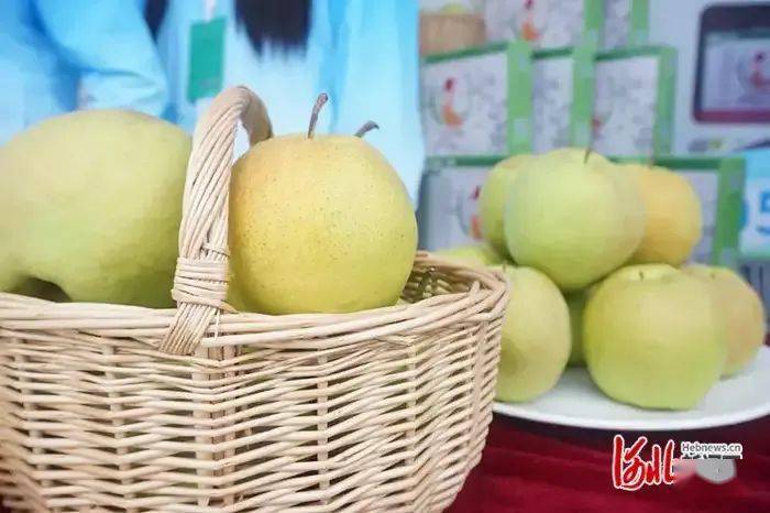 双节游河北 25条休闲农业精品线路带你邂逅“醉”美秋天开云APP 开云官网入口(图5)