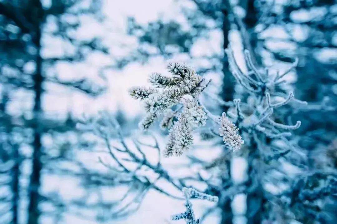 雪的28种别称，古代的名字太好听!