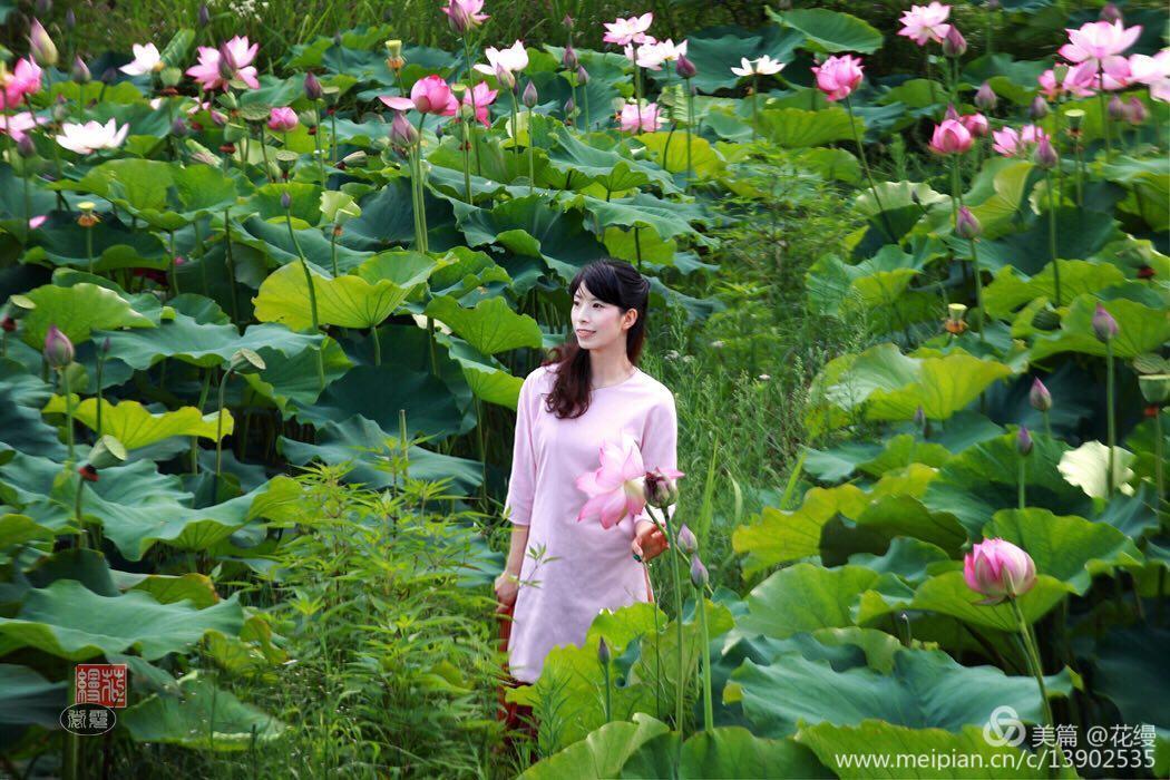欣赏好听的歌曲你是绿叶我是花
