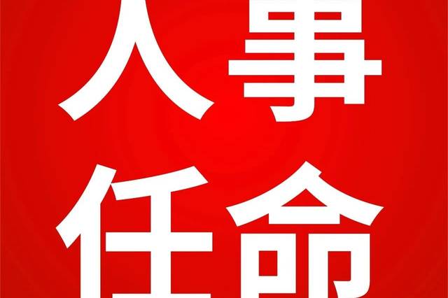 快讯!区人大常委会第三十一次会议表决通过人事任命案