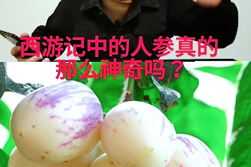西游中的人参果真的那么神奇吗