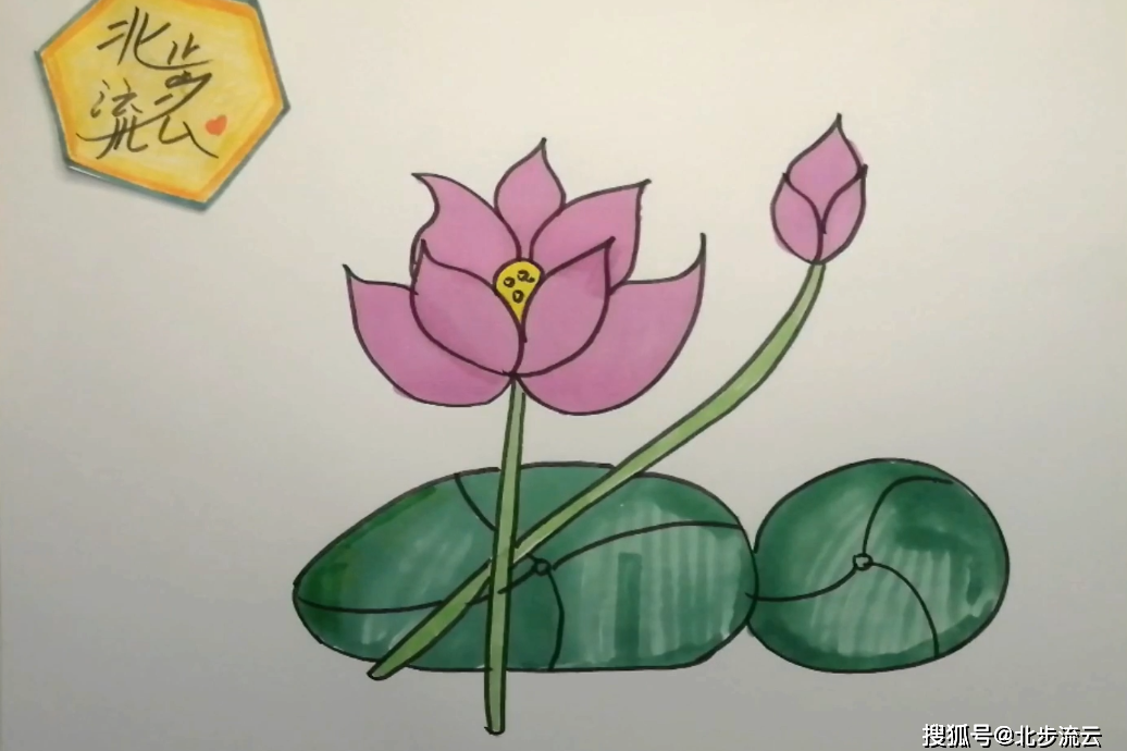 儿童简笔画荷花轻松学会画一幅好看的荷花