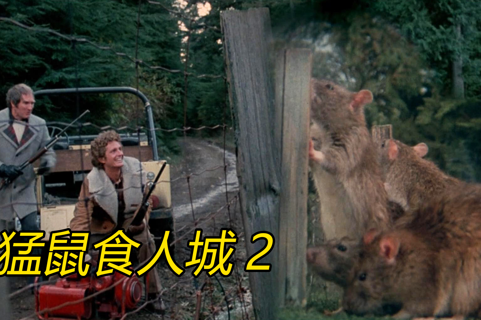 惊悚片老鼠吃了怪异液体长得比卡车都还大带领群鼠袭击人类