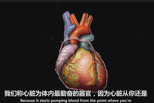 科普动画:心脏工作原理