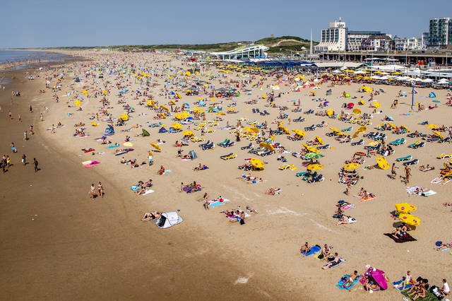 阳光明媚 荷兰人"扎堆"在海滩日光浴                  当地时间2200