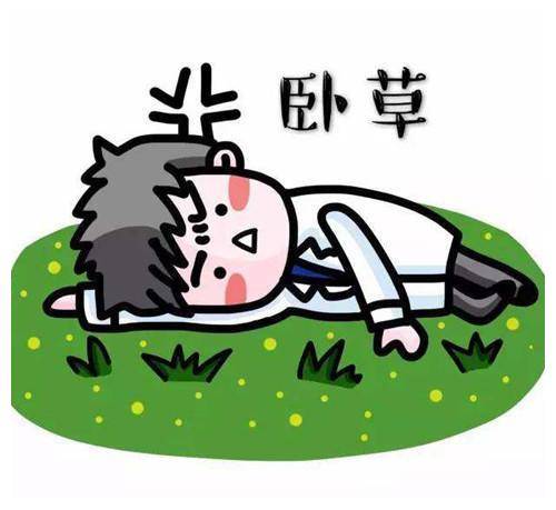 原创 爆笑段子:狗狗昨晚生病了,怕顾客不习惯,我爸就让我来代班!