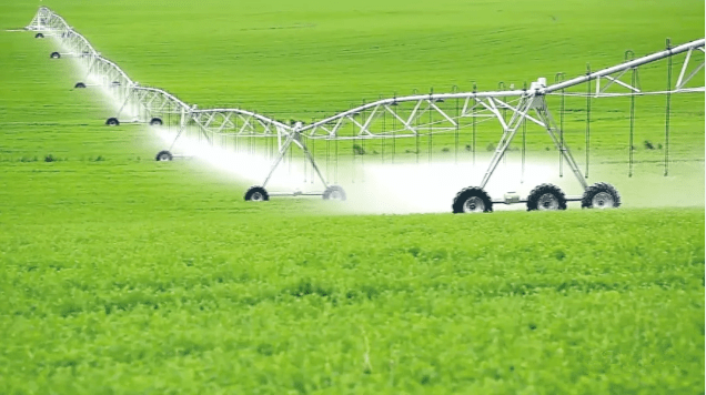 大开眼界!徐州这家公司靠"浇水"做到全国领先