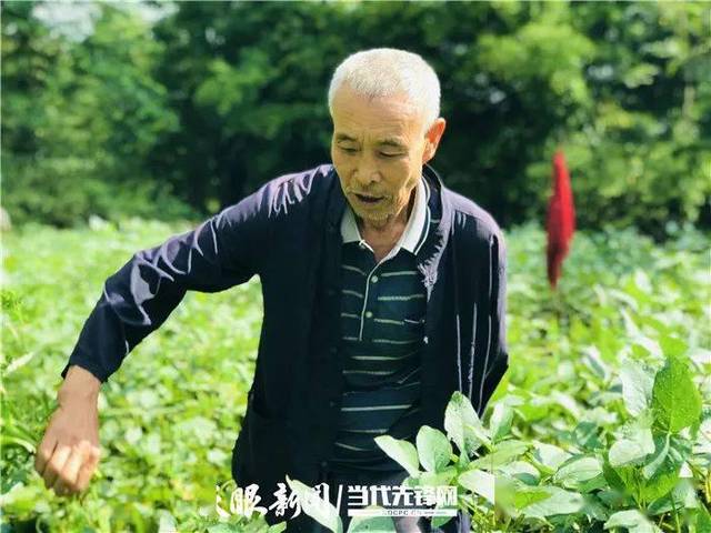 《贵州日报》刊登乾兴平署名文章:确保高质量,打好收官战