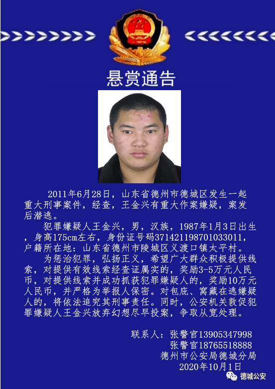 山东生活帮的个人展示页