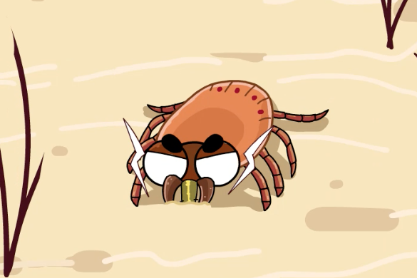 蜱虫是个什么东西