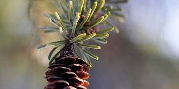 下周桃花来袭，被爱情抱紧的4大星座，心有所属，被真爱赖在身边