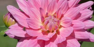 大难已过，4月大红大紫，事业红火，桃花旺盛爱情到，喜事连连