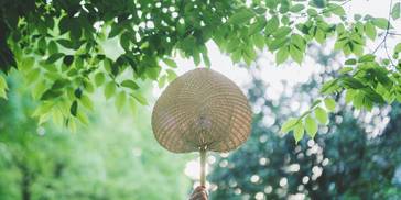 夏天模式开启，夏季养生先养“心”