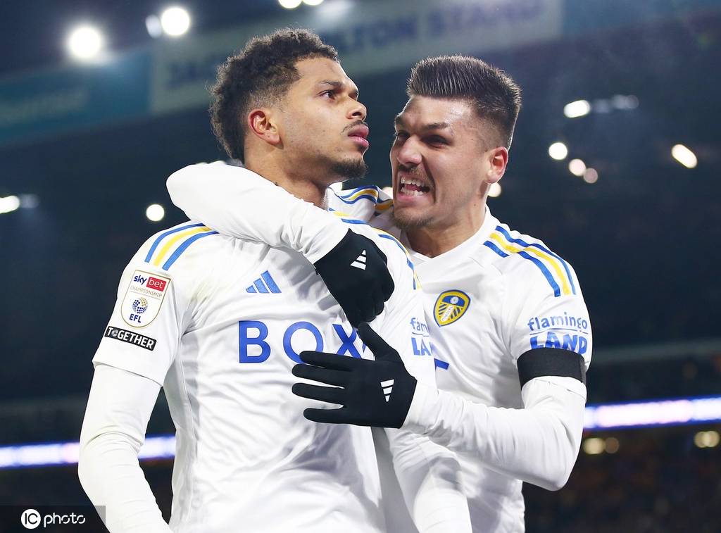 利兹联足球俱乐部(leeds united f.c.
