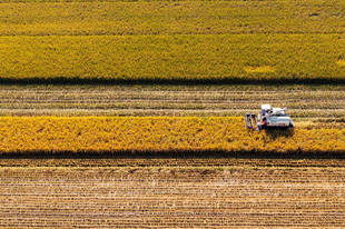 全国秋粮已收获10.78亿亩