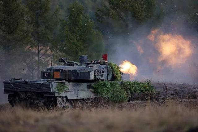 德国做出这个决定 先将了美国一军