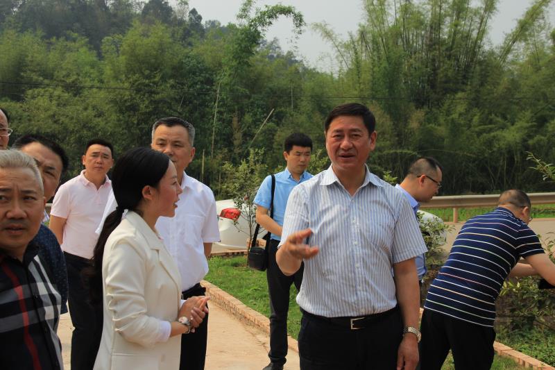 原创四川油茶产业发展大有可为乐山市市委常委阿刘时布一行调研犍为