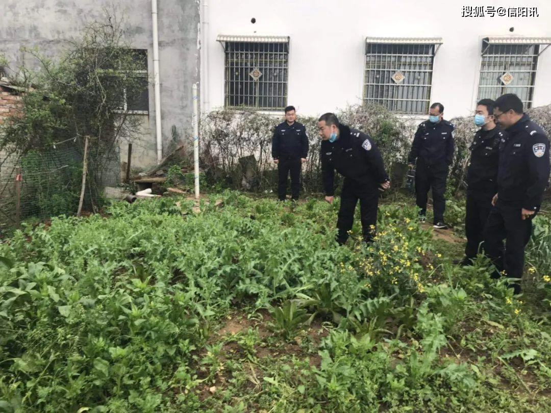平桥区邢集镇开展禁种铲毒专项行动