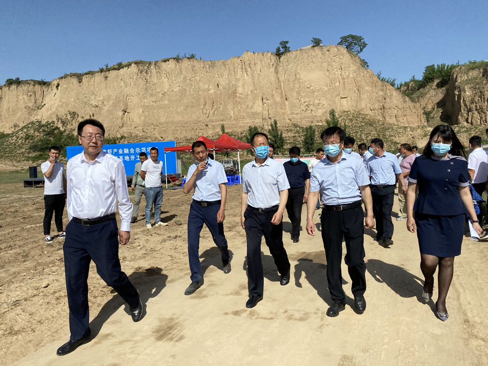 2020年省级重点项目:大荔县小龙虾产业融合示范项目一产养殖示范基地