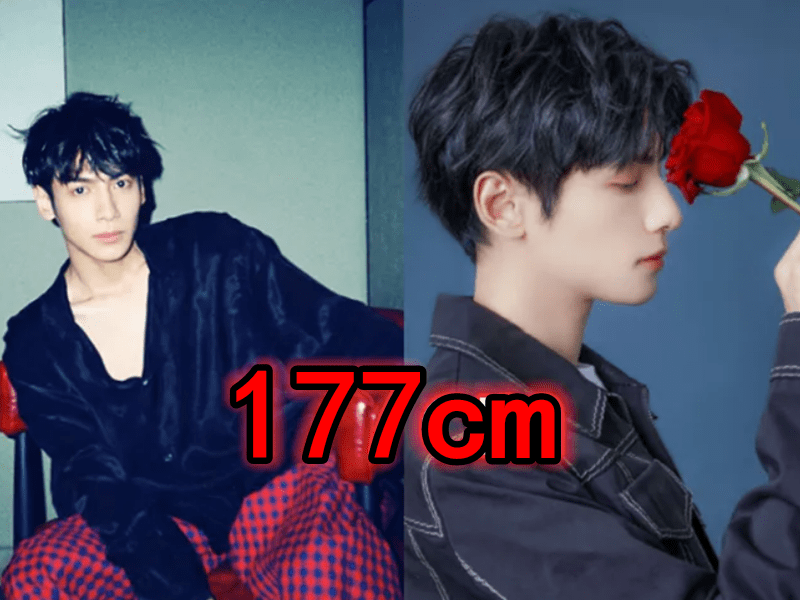 有种反差叫"长相与身高不符",毛不易陈瑶没啥,邢昭林太意外!