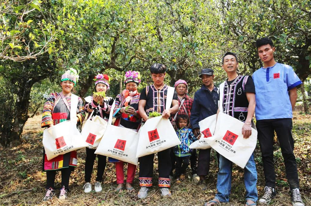 茶山寻味善心皆向茶百爱化甘茗