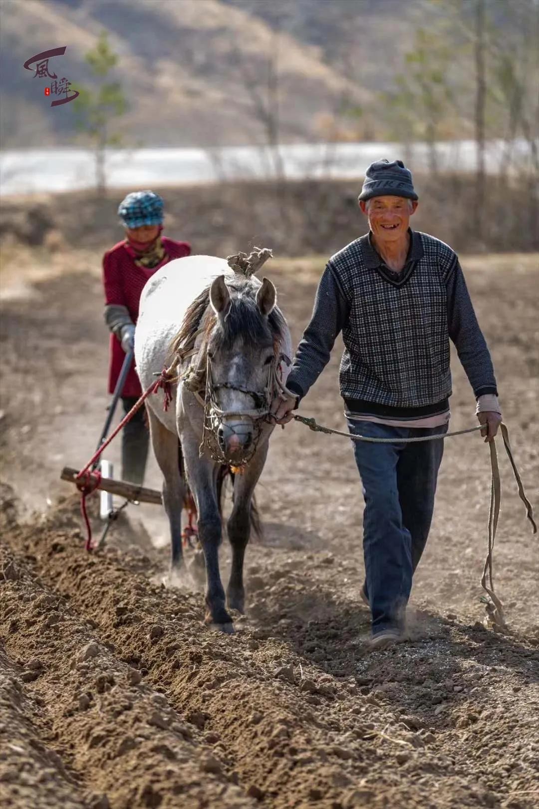 春种一粒粟赤峰田野上的犁春景象