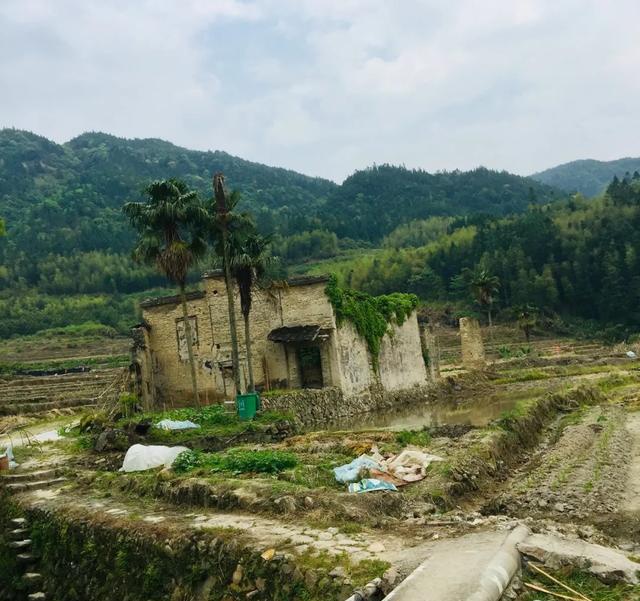 芳雨润石头远方的古村落常牵掛在心头石坑村不愁桃花源聚《不愁》雨山