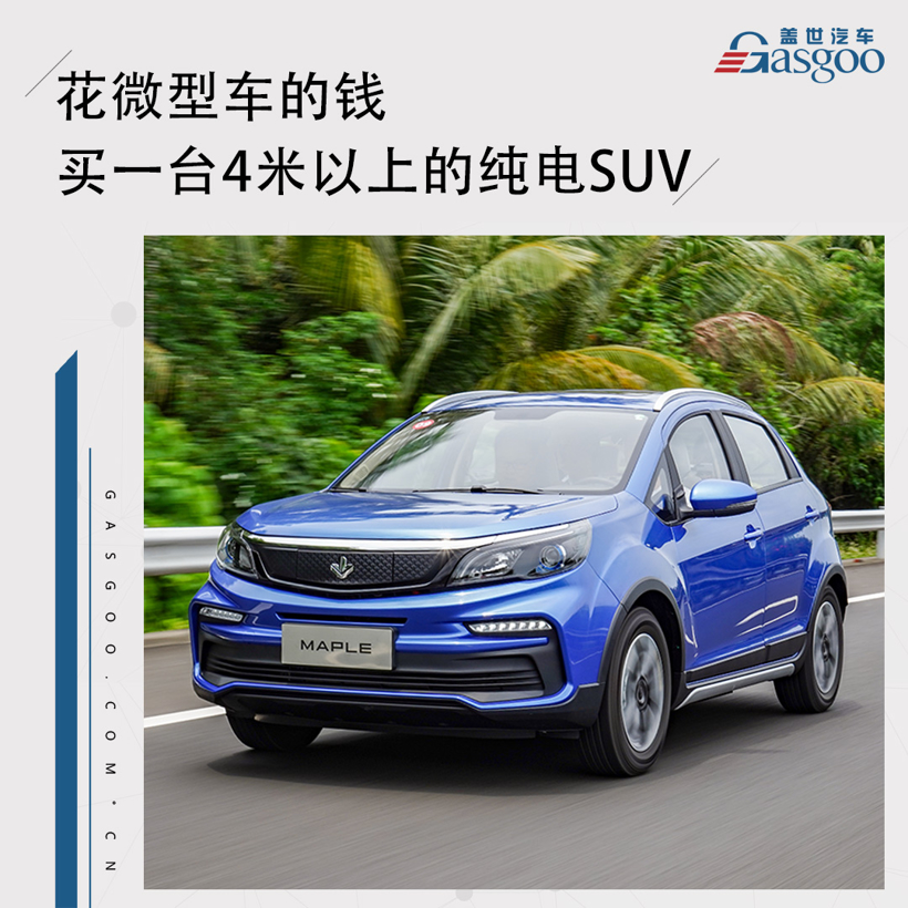 花微型车的钱买一台4米以上的纯电suv_搜狐汽车_搜狐网