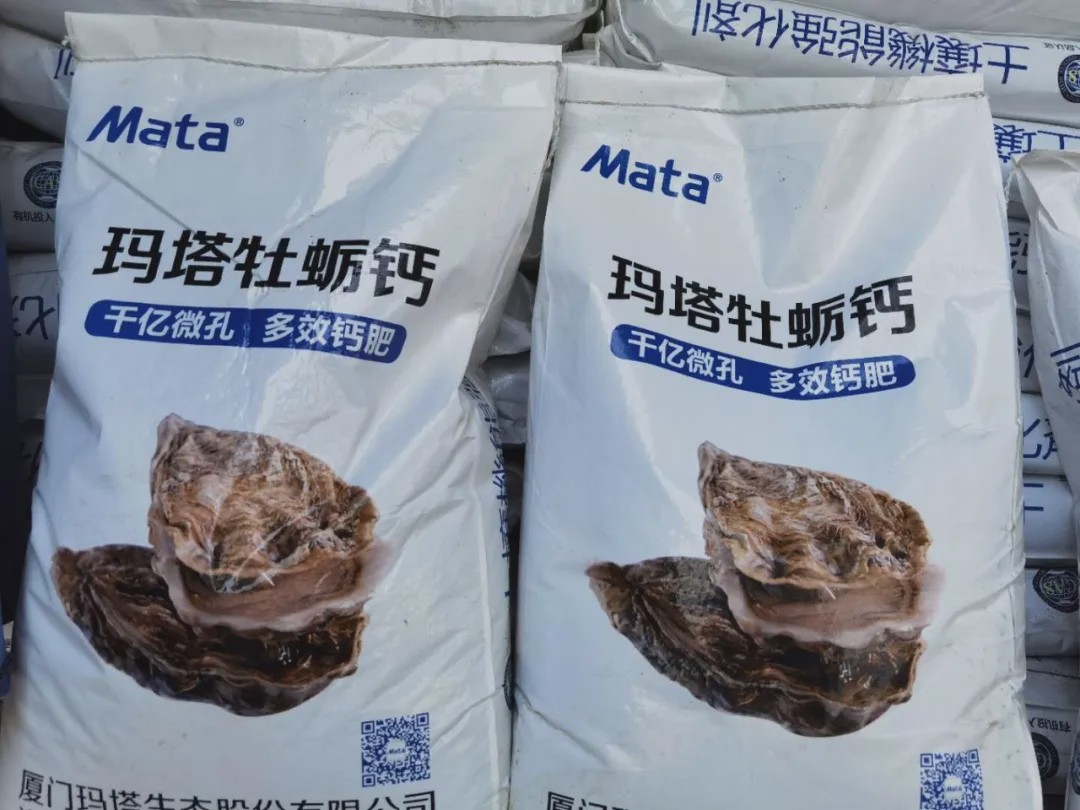 玛塔牡蛎钙月亏损数百万换种思路水果流通向种植延伸