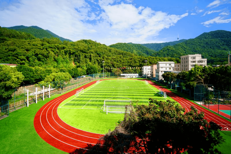 深圳梧桐学校(深圳梧桐学校升学率)