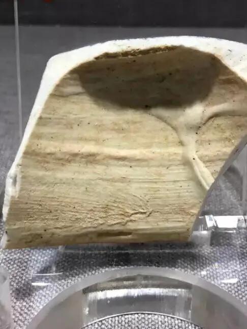 元青花——麻仓土的特征,高清图分析