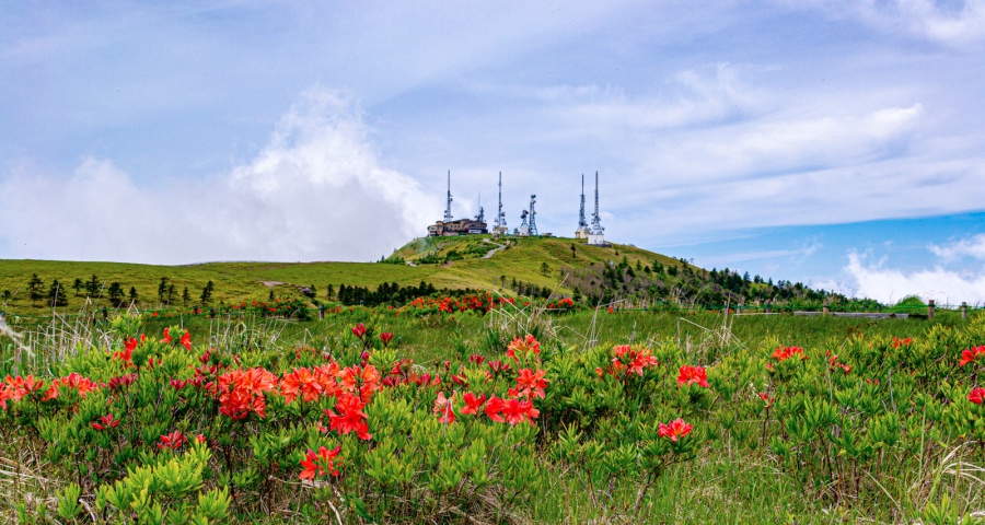 618大促预热,5折乱战再起,家电业害怕全行业利润被全面击穿-家电圈官网