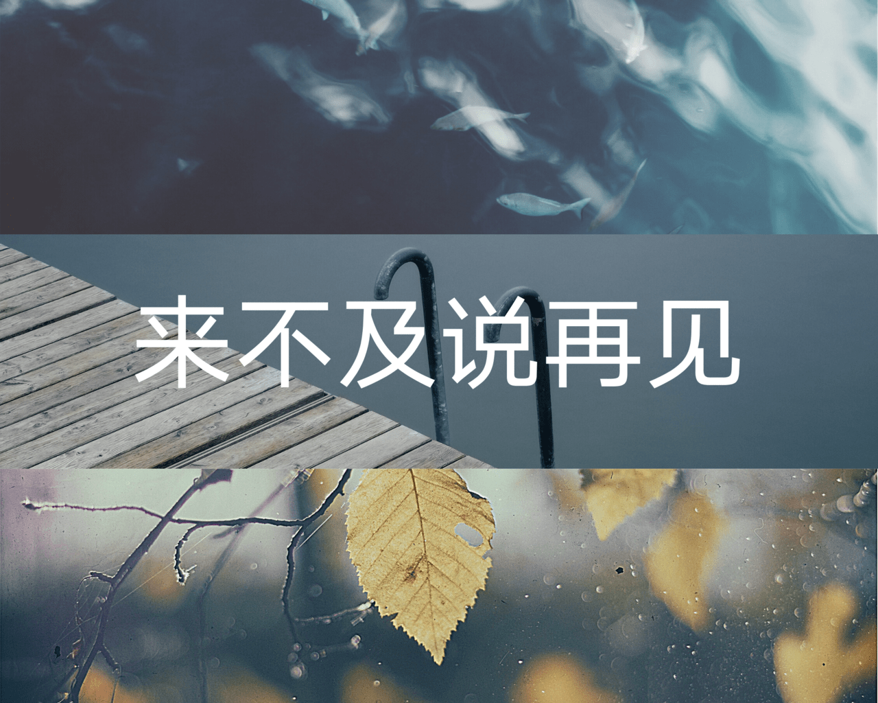 你的青春为何结束的这么快而我却把青春留了下来