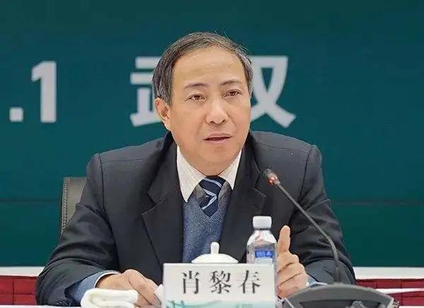 天津石化李永林 | 建议制定适合的,可操作的氢能产业管理规范和法规"