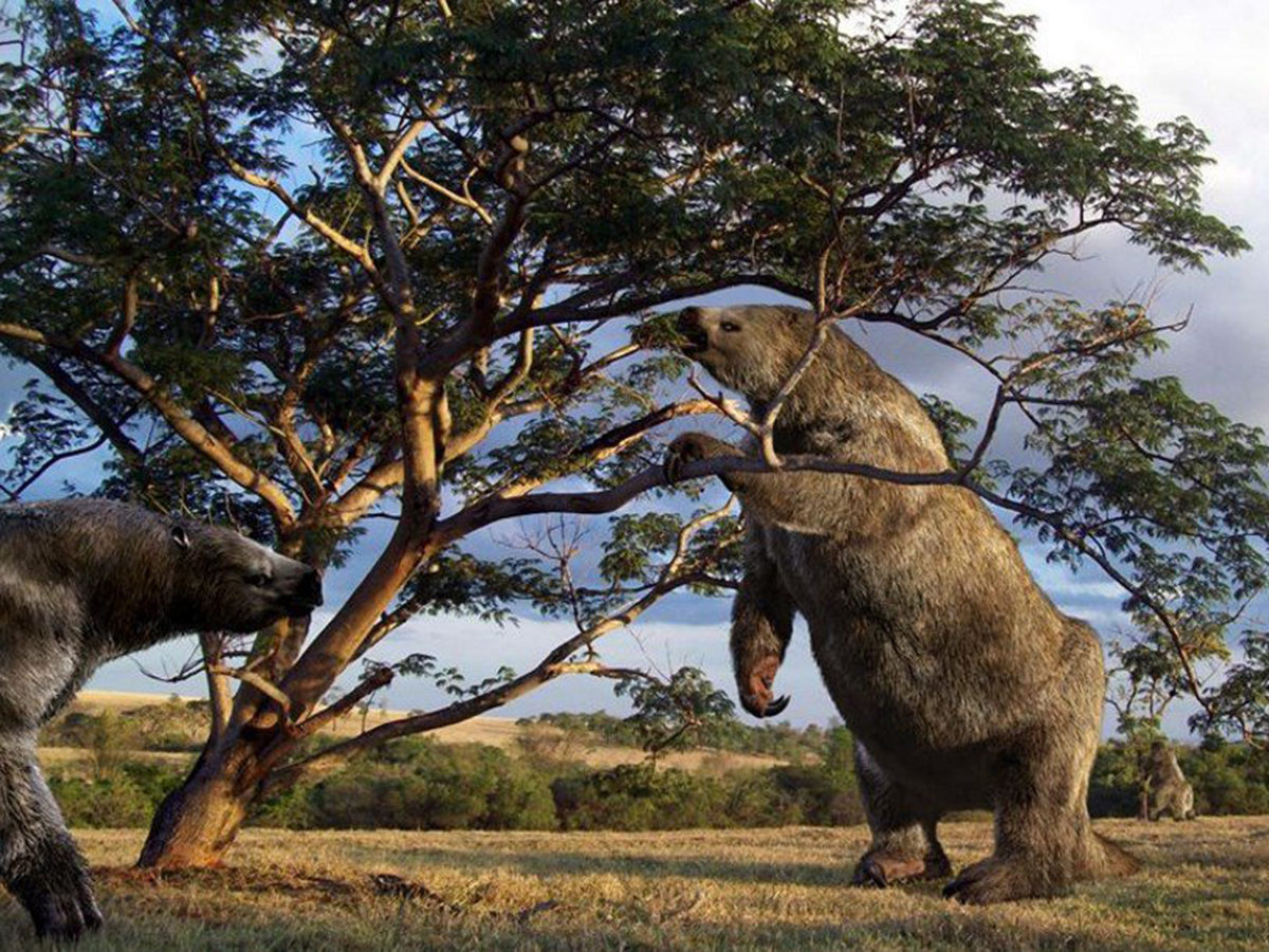 奇闻:身高两层楼,强壮如大号棕熊,却集体死在自己的粪坑里