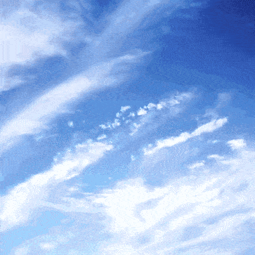 淡雅的花儿开得正盛 任凭四季的流转与变化 太太的花园总是芳香四溢