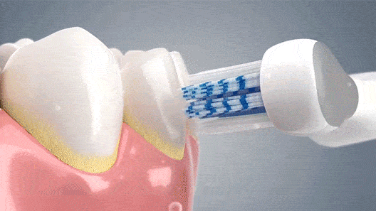 528_297gif 动态图 动图