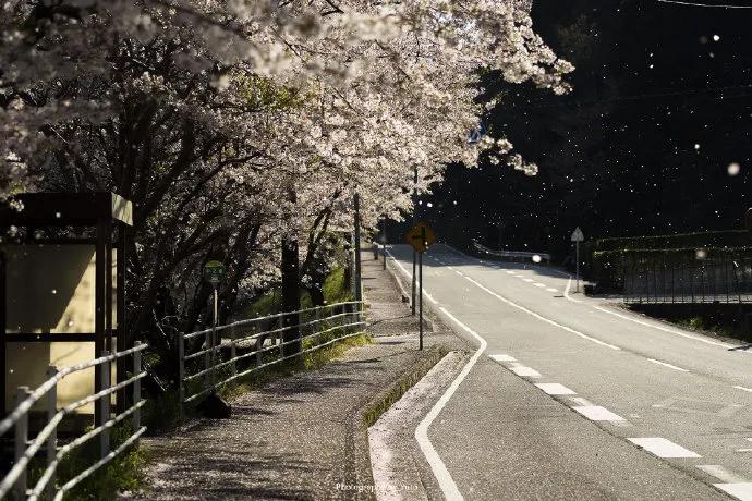 图片[12] - 【xizi被窝段子20200529】生活是苦难的 我又划着断桨出发 - xizi