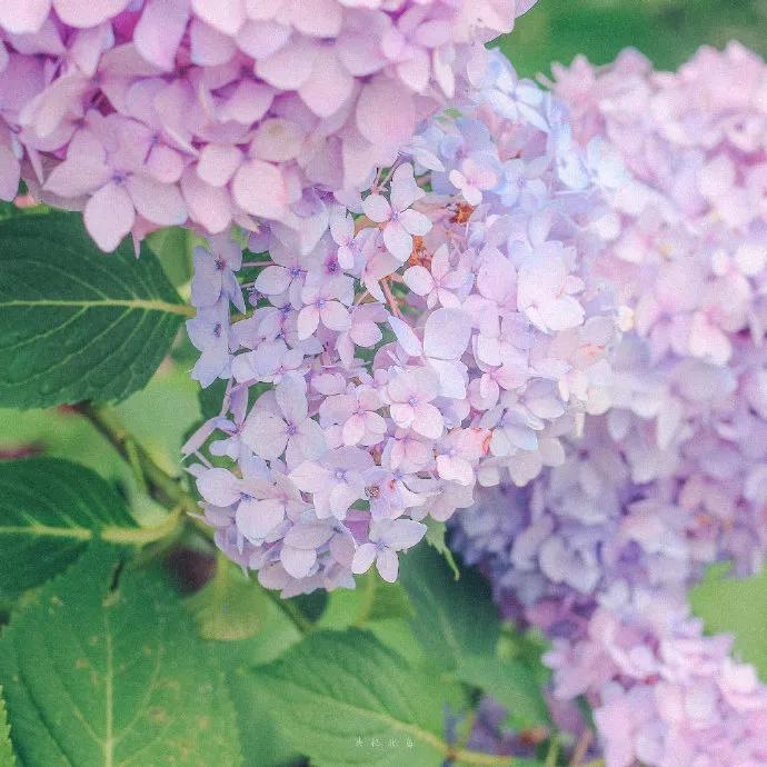 图片[13] - 【xizi被窝段子20200529】生活是苦难的 我又划着断桨出发 - xizi