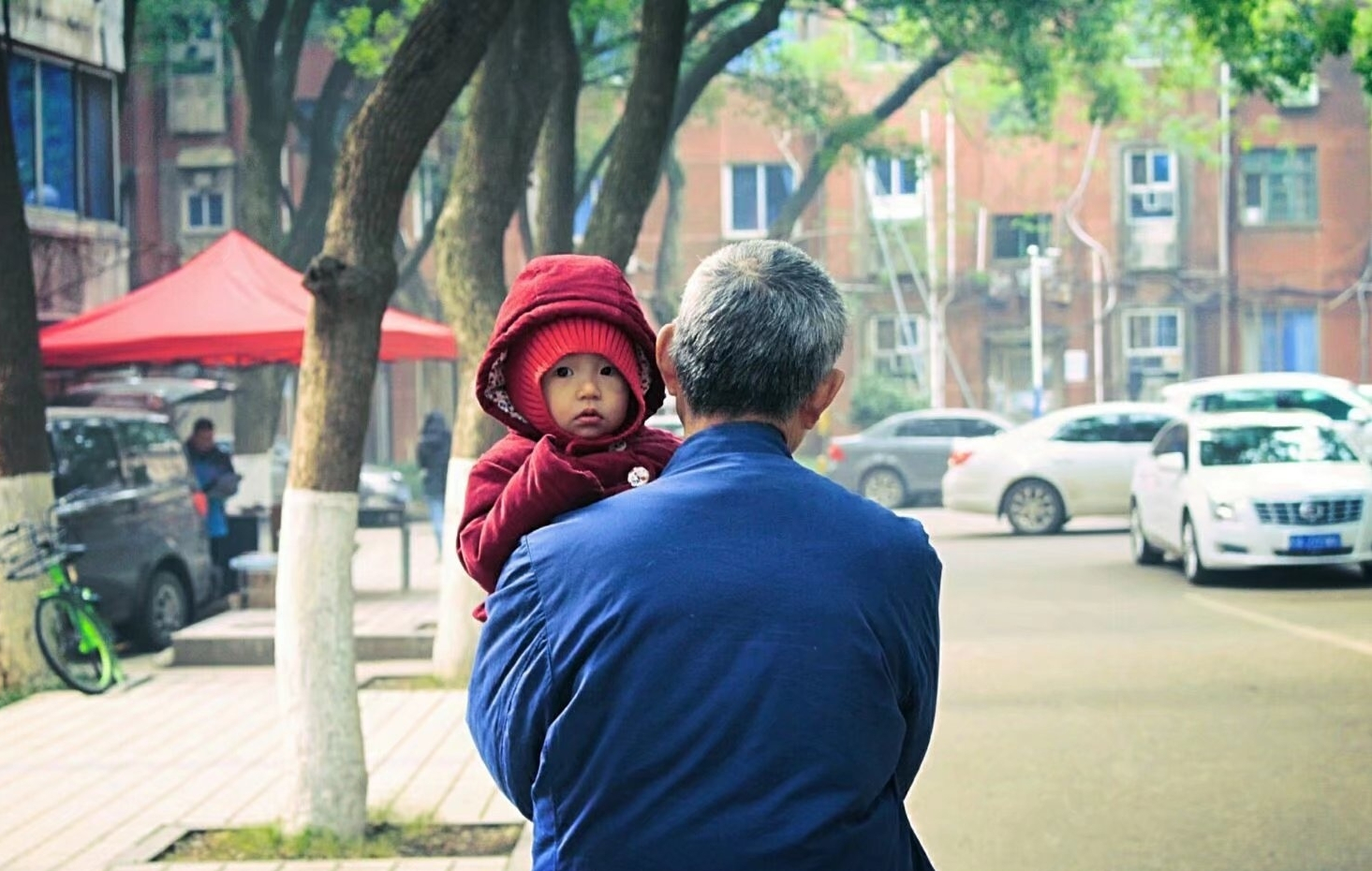 孩子的爷爷奶奶被孩子的爸爸和叔叔赶出了家!