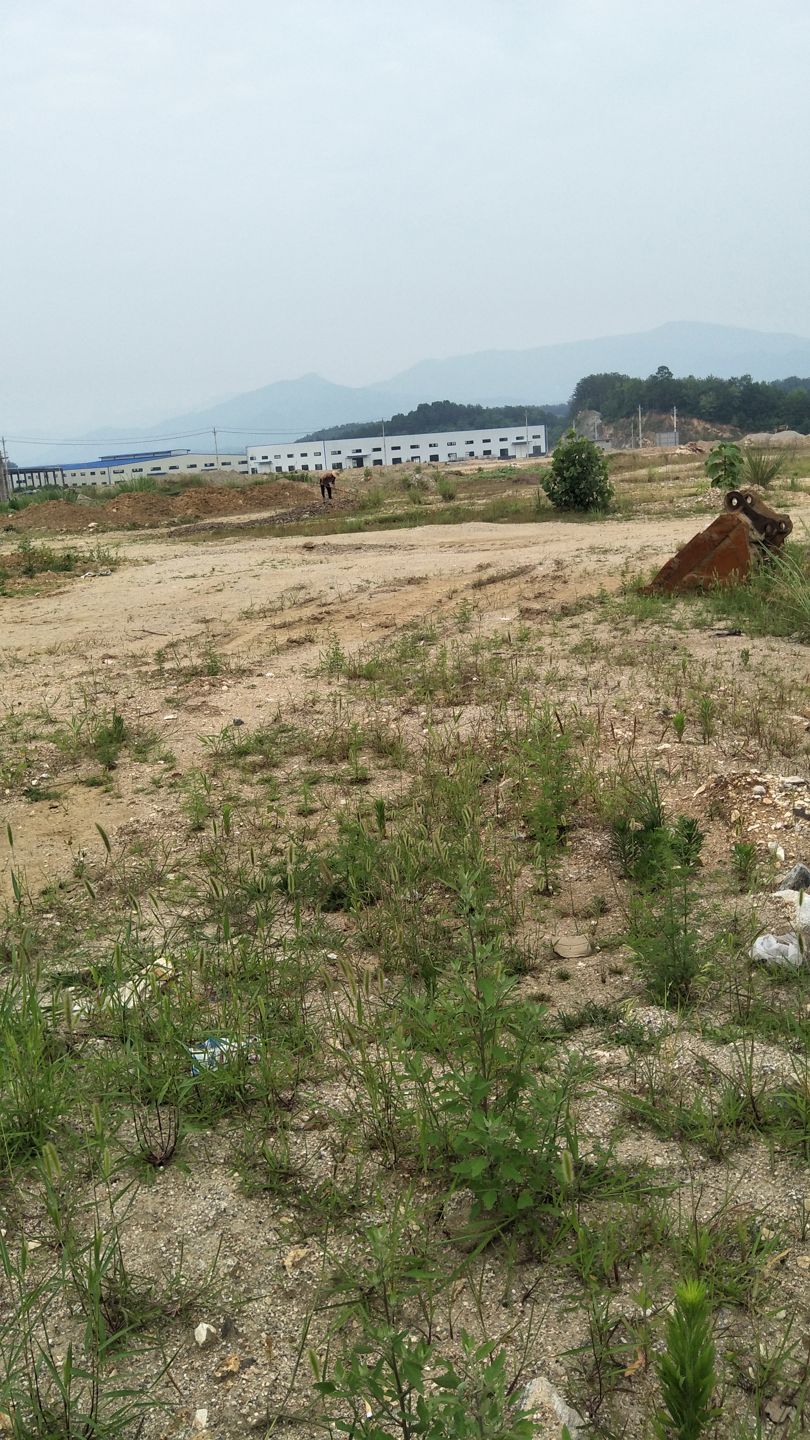 農村荒地一覽-搜狐大視野-搜狐新聞