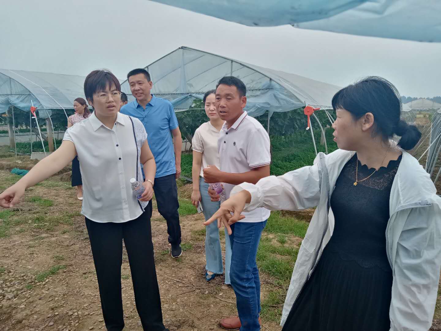 澧县政协领导到如东镇走访委员并召开座谈会