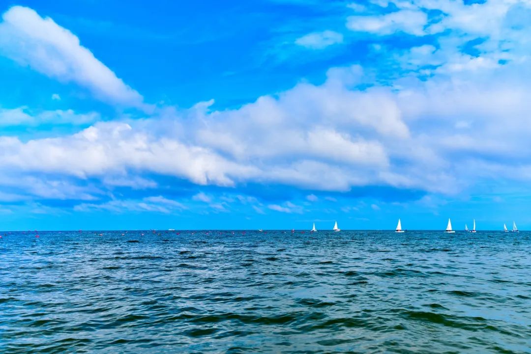 国家帆船帆板队来蔚蓝海岸集训,备战东京奥运会!