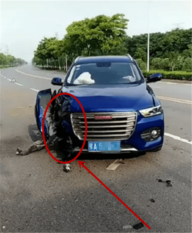 15万哈弗h6撞弯电线杆,车头一侧受损,看到气囊时,才知质量